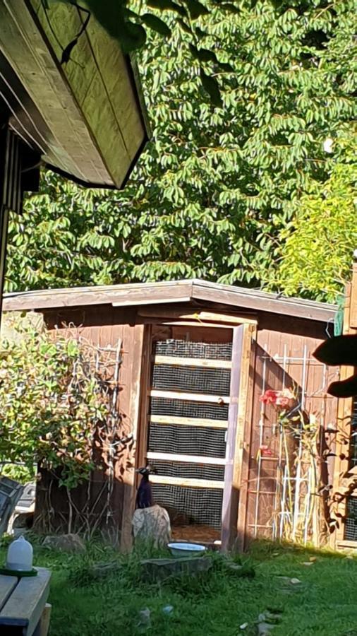Ferienhaus Nr. 60 Im Ferienpark Am Twistesee Bad Arolsen Εξωτερικό φωτογραφία