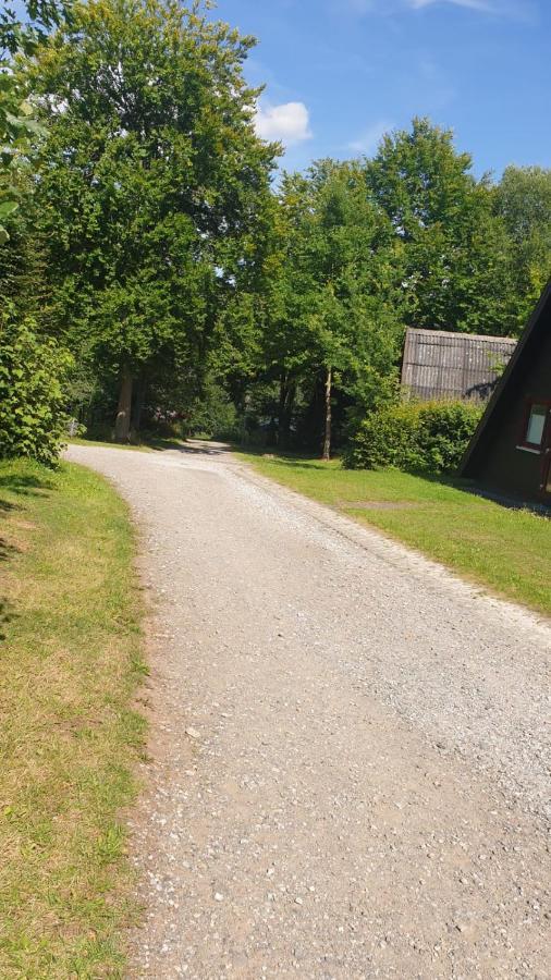 Ferienhaus Nr. 60 Im Ferienpark Am Twistesee Bad Arolsen Εξωτερικό φωτογραφία
